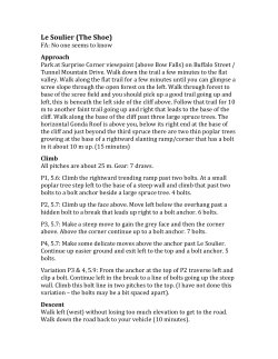 Le Soulier (The Shoe)