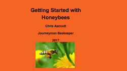Getting Started with Bees