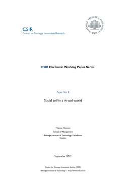 Social self in a virtual world