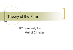 Theory of the Firm - Business-TES