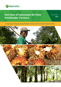 Overview of Indonesian Oil Palm Smallholder Farmers