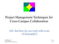 Project Management Techniques for Cross