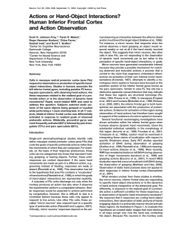 Actions or Hand-Object Interactions? Human Inferior Frontal Cortex