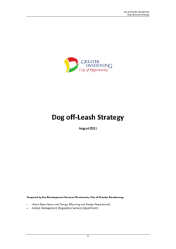 Dog off-Leash Strategy - City of Greater Dandenong