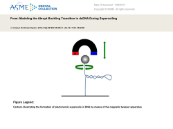 Slideset () - Journal of Computational and Nonlinear Dynamics