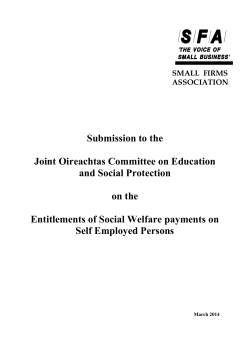 26 March 2014 Presentation from Small Firms Association