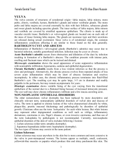 Female Genital Tract Prof.Dr.Alaa Ghani Hussein