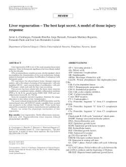 Liver regeneration &ndash; The best kept secret. A model of tissue injury