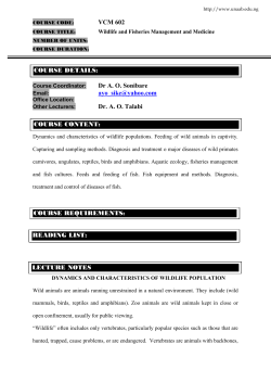diseases of fish