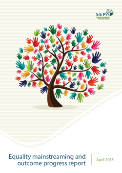 Equality Mainstreaming and Outcome Progress Report 2015