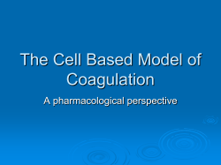 Slide 1 - Philippe Le Fevre