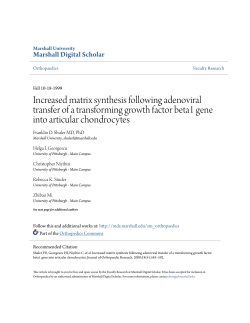 Increased matrix synthesis following adenoviral transfer of a