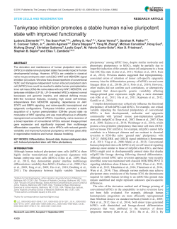 Tankyrase inhibition promotes a stable human na&iuml;ve
