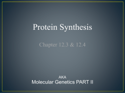 Transcription and Translation