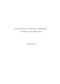 THE PRACTICE OF STRATEGY FORMATION