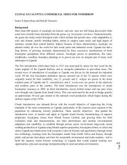CLONAL EUCALYPTUS - National Forestry Resources Research