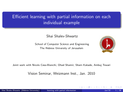 Efficient learning with partial information on each individual example