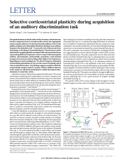 Selective corticostriatal plasticity during acquisition