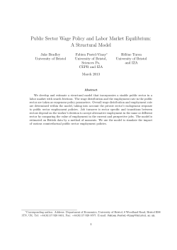 Public Sector Wage Policy and Labor Market Equilibrium: A