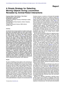 A Simple Strategy for Detecting Moving Objects during Locomotion