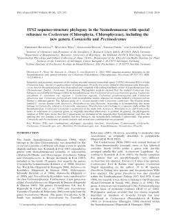 ITS2 sequence-structure phylogeny in the