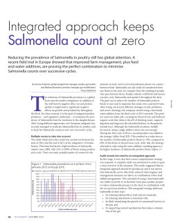 Integrated approach keeps Salmonella count at zero - Selko
