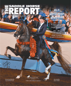 2012 world grand champion park saddle 2013