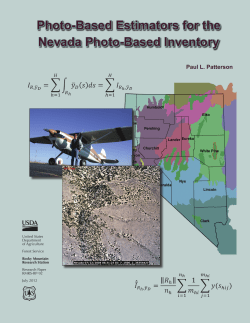 Photo-based estimators for the Nevada photo