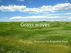 Grass waves