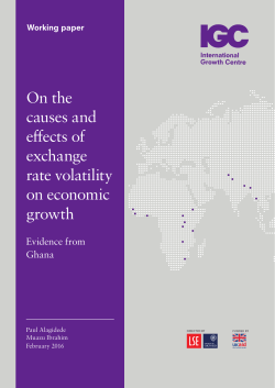 On the causes and effects of exchange rate volatility on economic