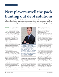 New players swell the pack hunting out debt solutions