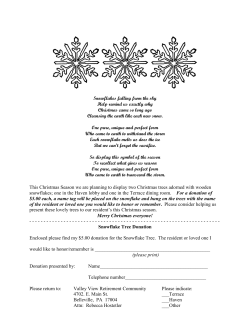 Snowflakes falling from the sky - Valley View Retirement Community