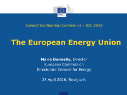 Energy efficiency Meeting the 2030 target and