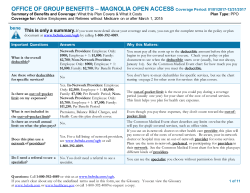 OFFICE OF GROUP BENEFITS &ndash; MAGNOLIA OPEN ACCESS