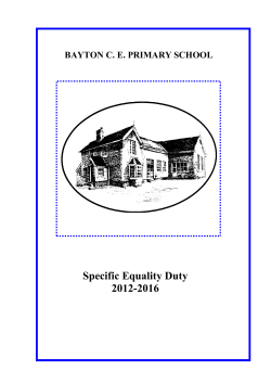 Specific Equality Duty 2012