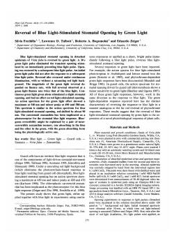 Reversal of Blue Light-Stimulated Stomatal Opening by Green Light