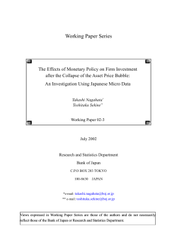 The Effects of Monetary Policy on Firm Investment after the Collapse