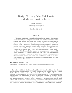Foreign Currency Debt, Risk Premia and