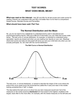 TEST SCORES: WHAT DOES MEAN, MEAN?