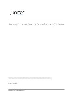 Routing Options Feature Guide for the QFX Series