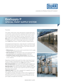 Special Paint Supply EcoSupply P