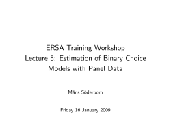 Estimation of Binary Choice Models with Panel Data