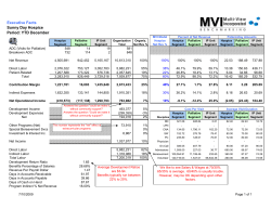 Executive Facts Sunny Day Hospice Period - Multi