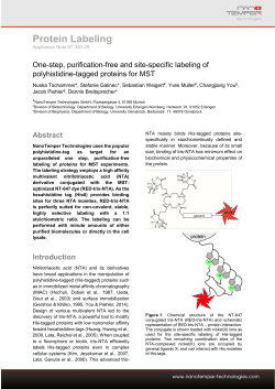 Protein Labeling