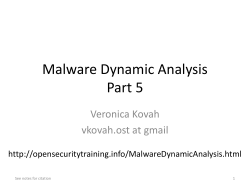 Malware Dynamic Analysis