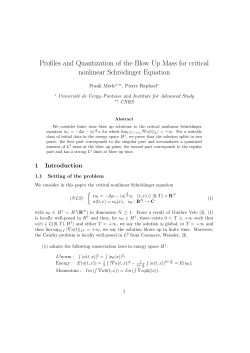 Profiles and Quantization of the Blow Up Mass for critical nonlinear