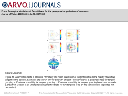 Slide - Journal of Vision