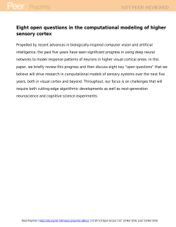 Eight open questions in the computational modeling of