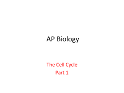 AP Biology