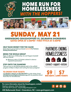 Home Run for Homelessness Flyer